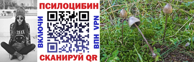 Галлюциногенные грибы мицелий  Верхний Уфалей 